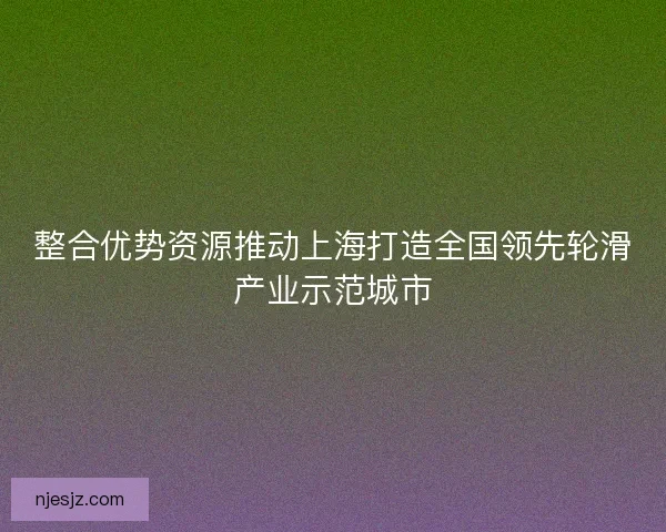 整合优势资源推动上海打造全国领先轮滑产业示范城市