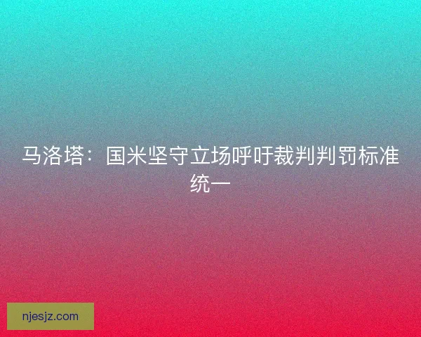 马洛塔：国米坚守立场呼吁裁判判罚标准统一